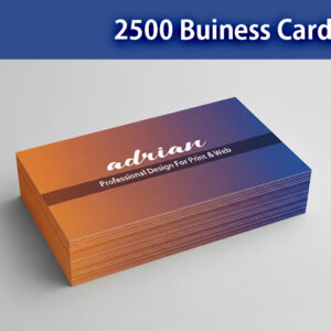 2500 Custom Designed Business Cards