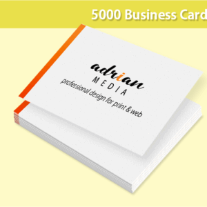 5000 Custom Designed Business Cards